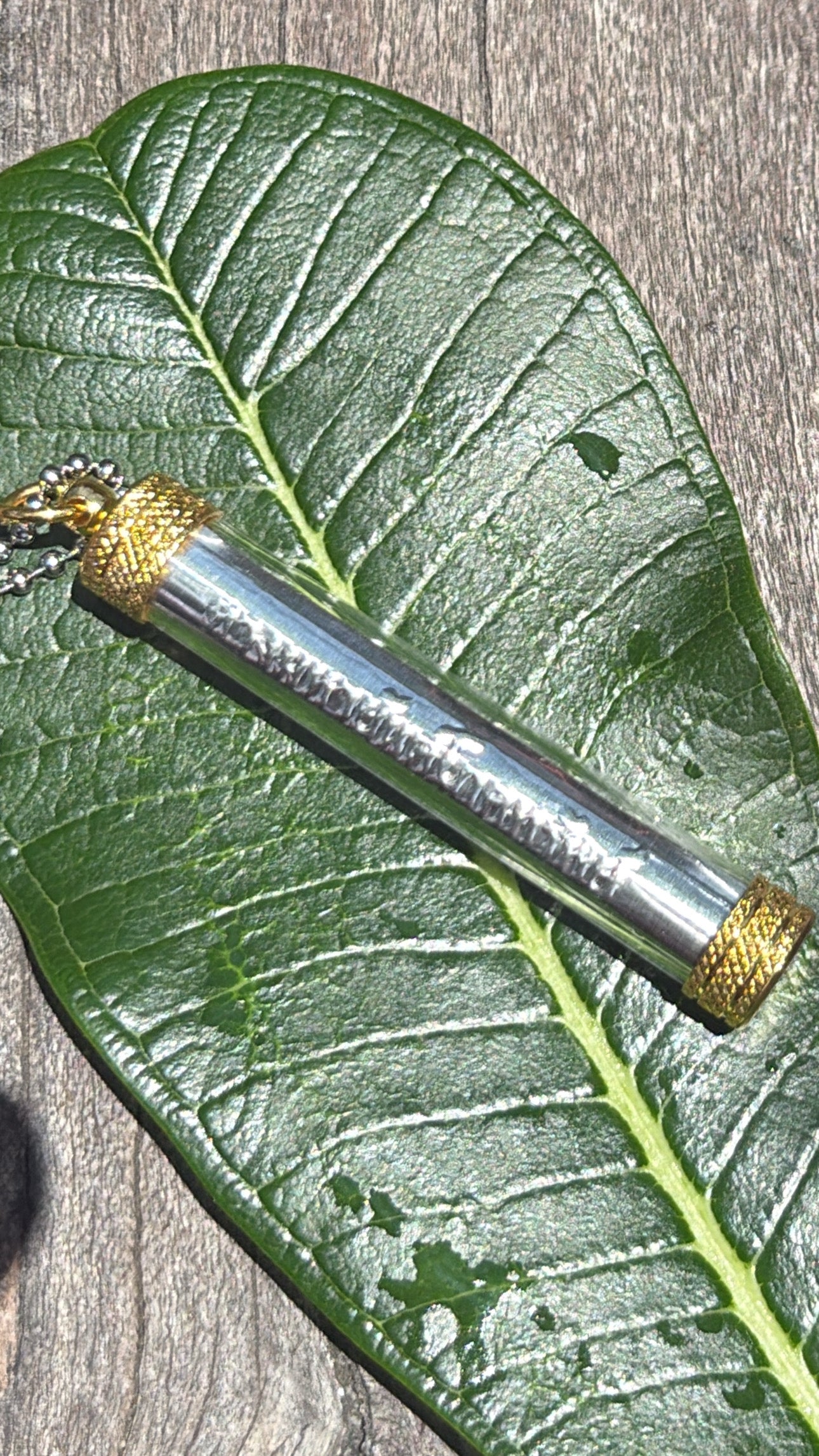 Luang Phor Thaï Amulet Silver Gold