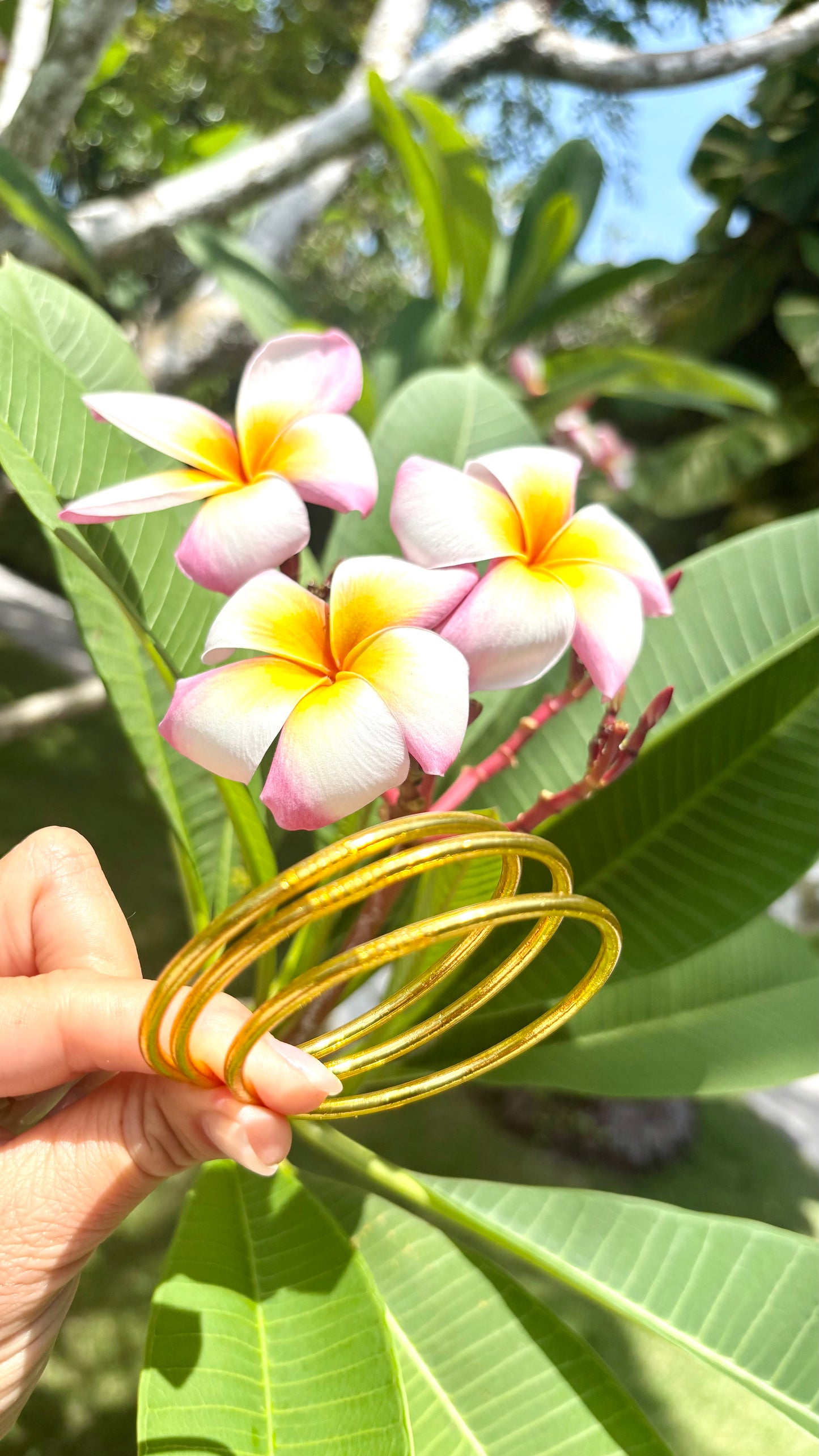 Kumlaï Noï (fin) Gold