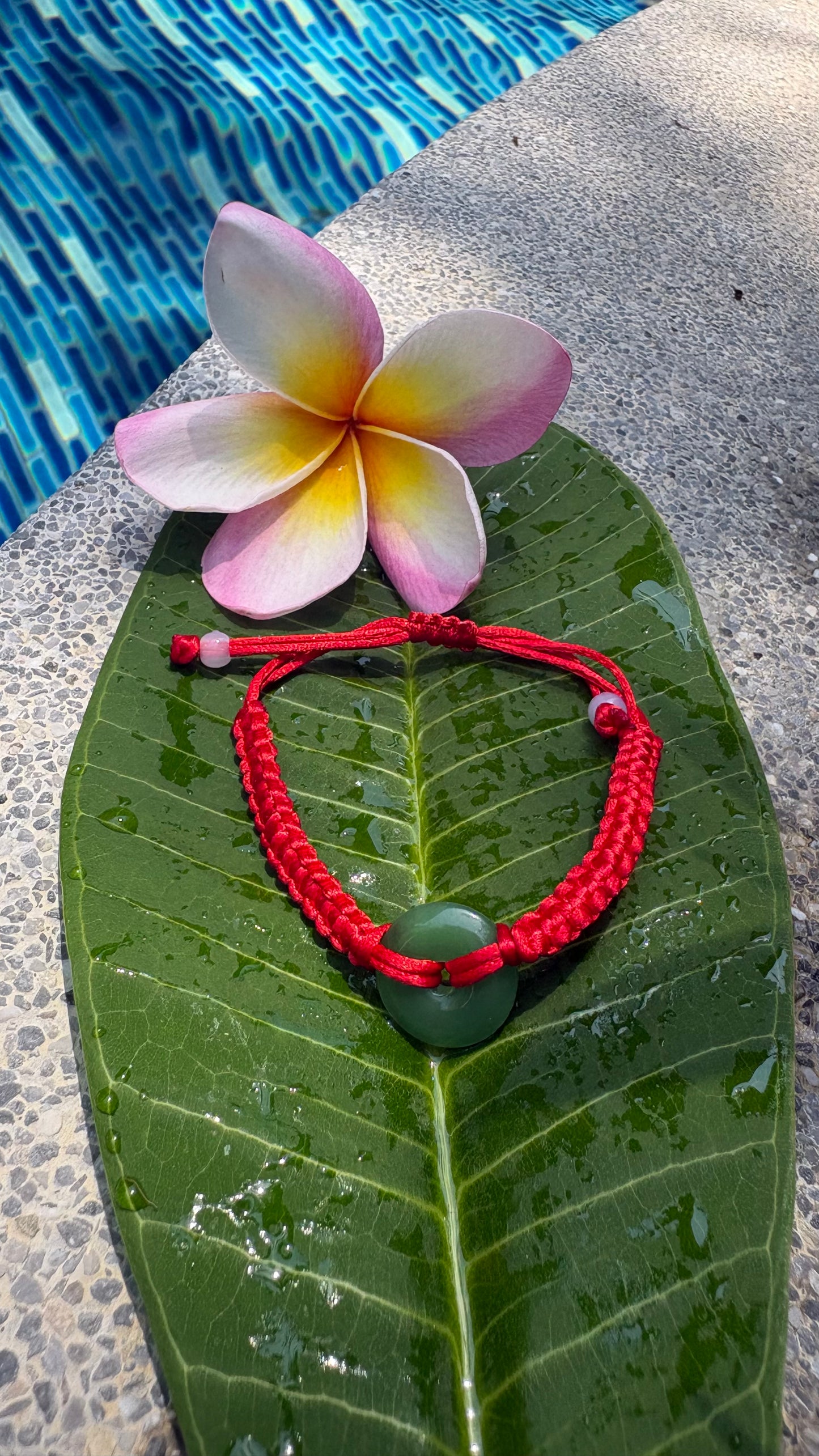 Saï Daeng Jade Foncé